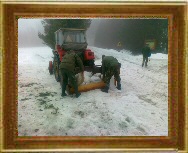 dokarmianie  w dniu 08.01.2011